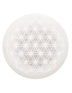 DISQUE SELENITE FLEUR VIE L